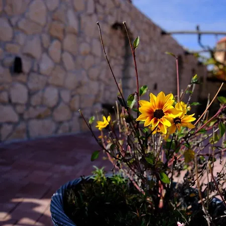 Secret Wellness Bodonci