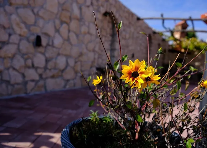 Secret Wellness Bodonci